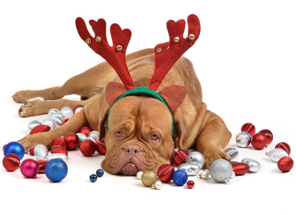 Question of the Week